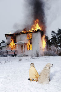 Rescued girl with dog in front of burning house