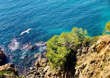 High angle view of rocks on beach