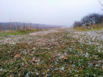 Close-up of field against sky