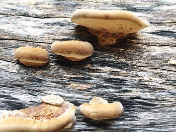 Close-up of food on wooden table