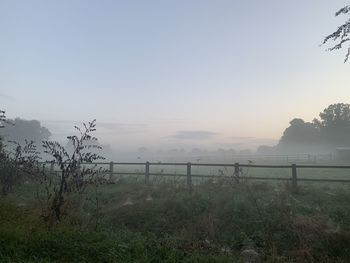 Scenic view of field against sky during foggy weather