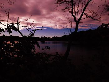 Silhouette trees by calm lake against dramatic sky