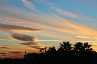 Silhouette trees against sky during sunset