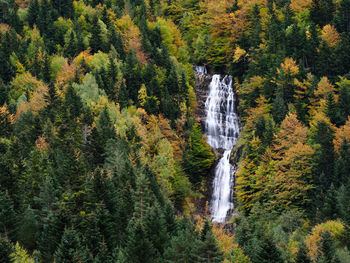 Early fall at the entrance to the bujaruelo valley, spain