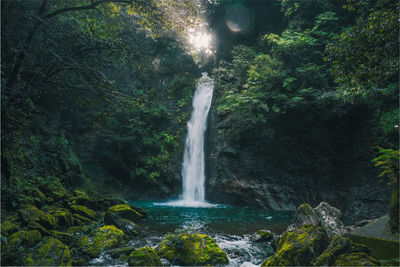 Scenic view of waterfall in forest