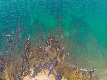 High angle view of sea shore