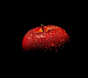 Close-up of red rose over black background