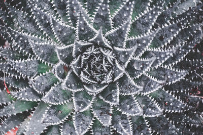 Full frame shot of frozen water