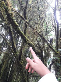 Cropped image of person against tree trunk in forest