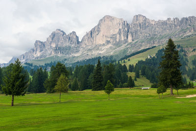 Scenic view of mountains