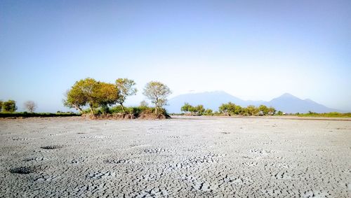 Scenic view of landscape against clear sky