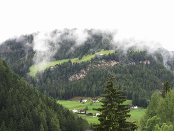 High angle view of trees on field against sky