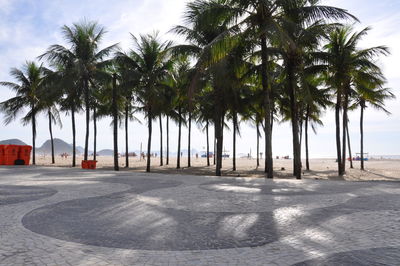 Palm trees on beach against sky