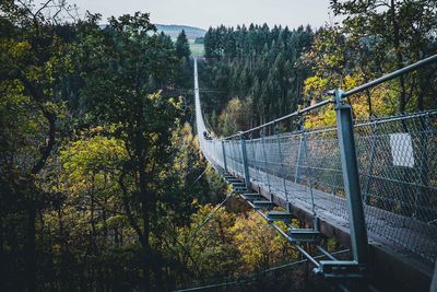 Footbridge hanging by trees in forest