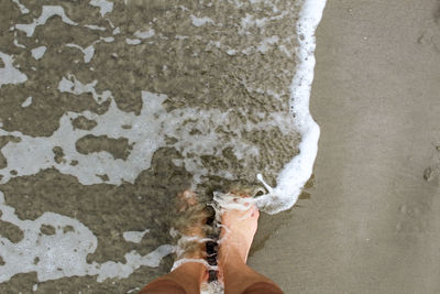 Low section of man standing on shore at beach