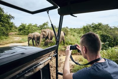 Rear view of man photographing elephant in forest