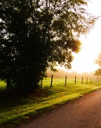 Road passing through landscape