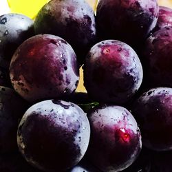 Close-up of blueberries