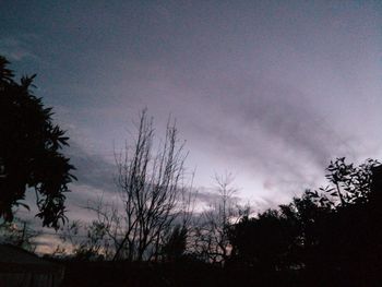 Low angle view of silhouette trees against sky at sunset