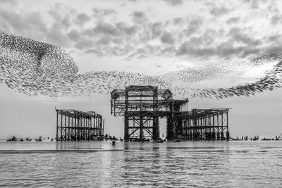 Cranes by sea against sky