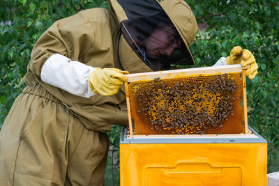 Midsection of man holding bee