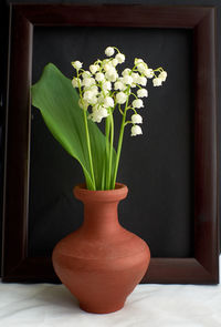 Close-up of flower vase on potted plant at home