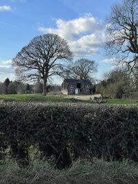 Bare trees on field against sky