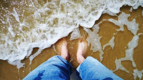 Low section of man standing on beach