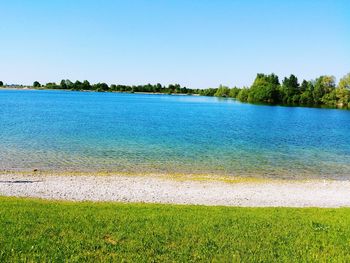 Scenic view of beach against clear blue sky