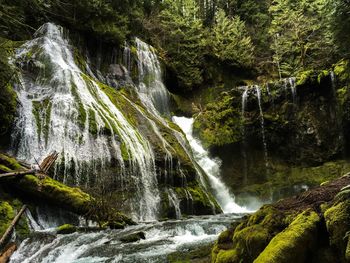 Long exposure of waterfall in forest