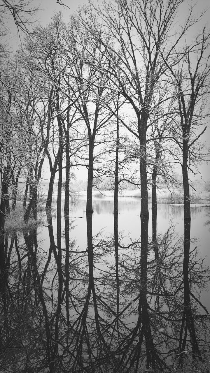 bare tree, tree, water, branch, tranquility, nature, lake, tranquil scene, beauty in nature, river, scenics, winter, cold temperature, sky, day, outdoors, no people, snow, waterfront, reflection