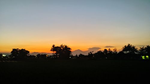 Silhouette trees on field against clear sky during sunset