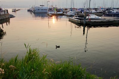 Boats moored in lake