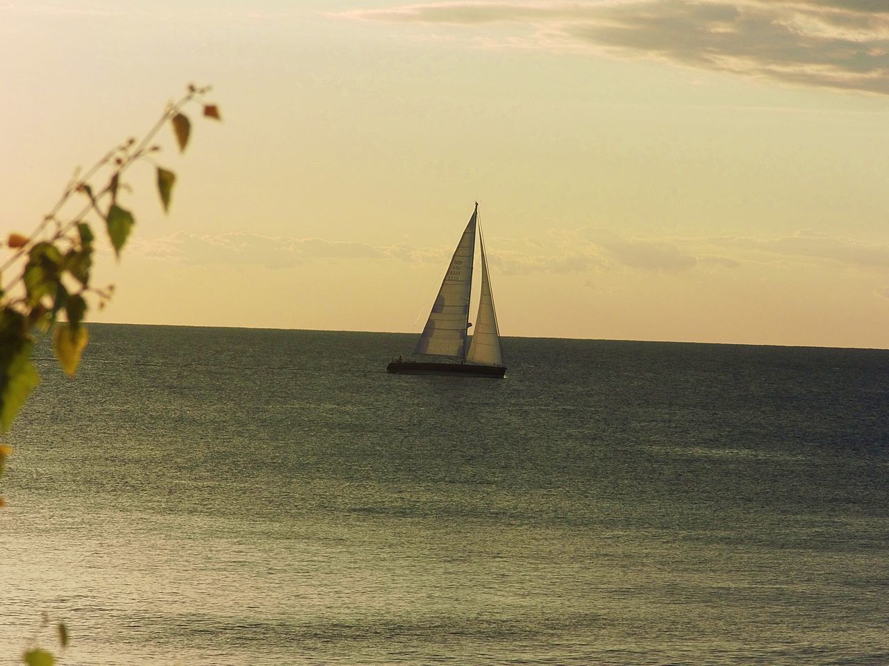 SAILBOAT SAILING ON SEA AGAINST SKY