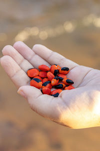 Close-up of hand holding orange