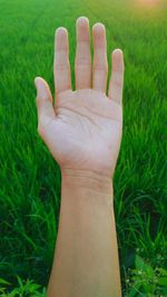 Close-up of hand on grass