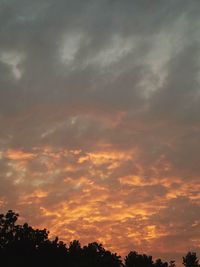 Low angle view of silhouette trees against sky at sunset