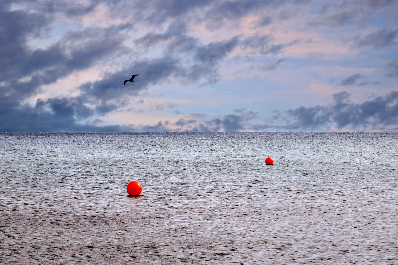 sea, sky, shore, cloud, ocean, water, horizon, nature, buoy, flying, bird, coast, wave, animal, red, beauty in nature, animal themes, no people, scenics - nature, wildlife, animal wildlife, beach, land, outdoors, tranquility, sunset, transportation, tranquil scene, environment, day, horizon over water