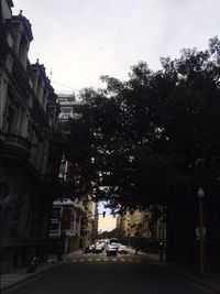 Cars parked on road in city