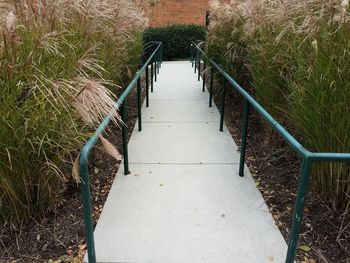 Staircase leading towards footpath