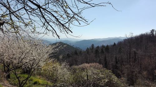 Scenic view of mountains