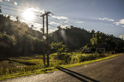 Road amidst trees on field against sky