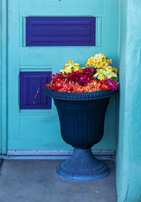 View of flower pot against blue window