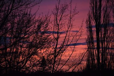 Silhouette bare trees against sky during sunset