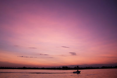 Silhouette birds flying over sea against sky during sunset