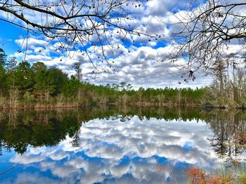 Reflection of trees in lake against sky