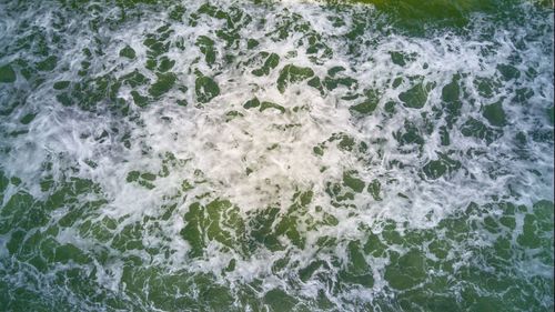 High angle view of water drops on ground