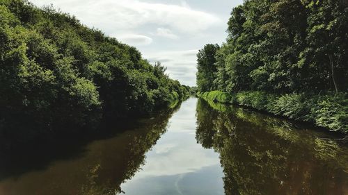 Reflection of trees in water against sky