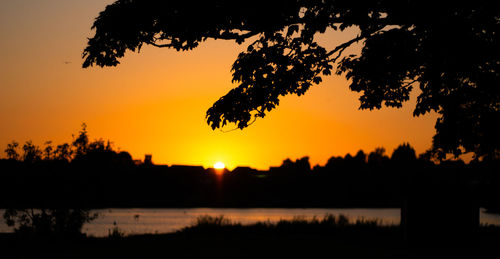 Silhouette trees against sky during sunset
