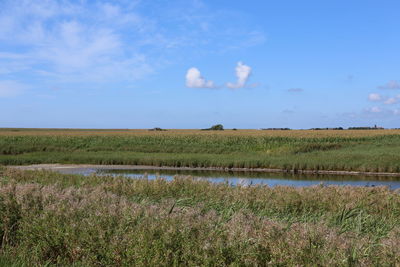 Scenic view of field against sky